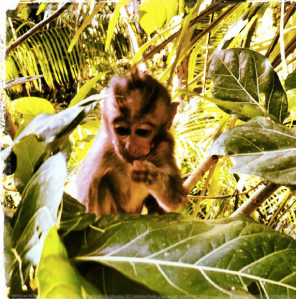 Screen Shot 2013-10-25 at 07.41.34