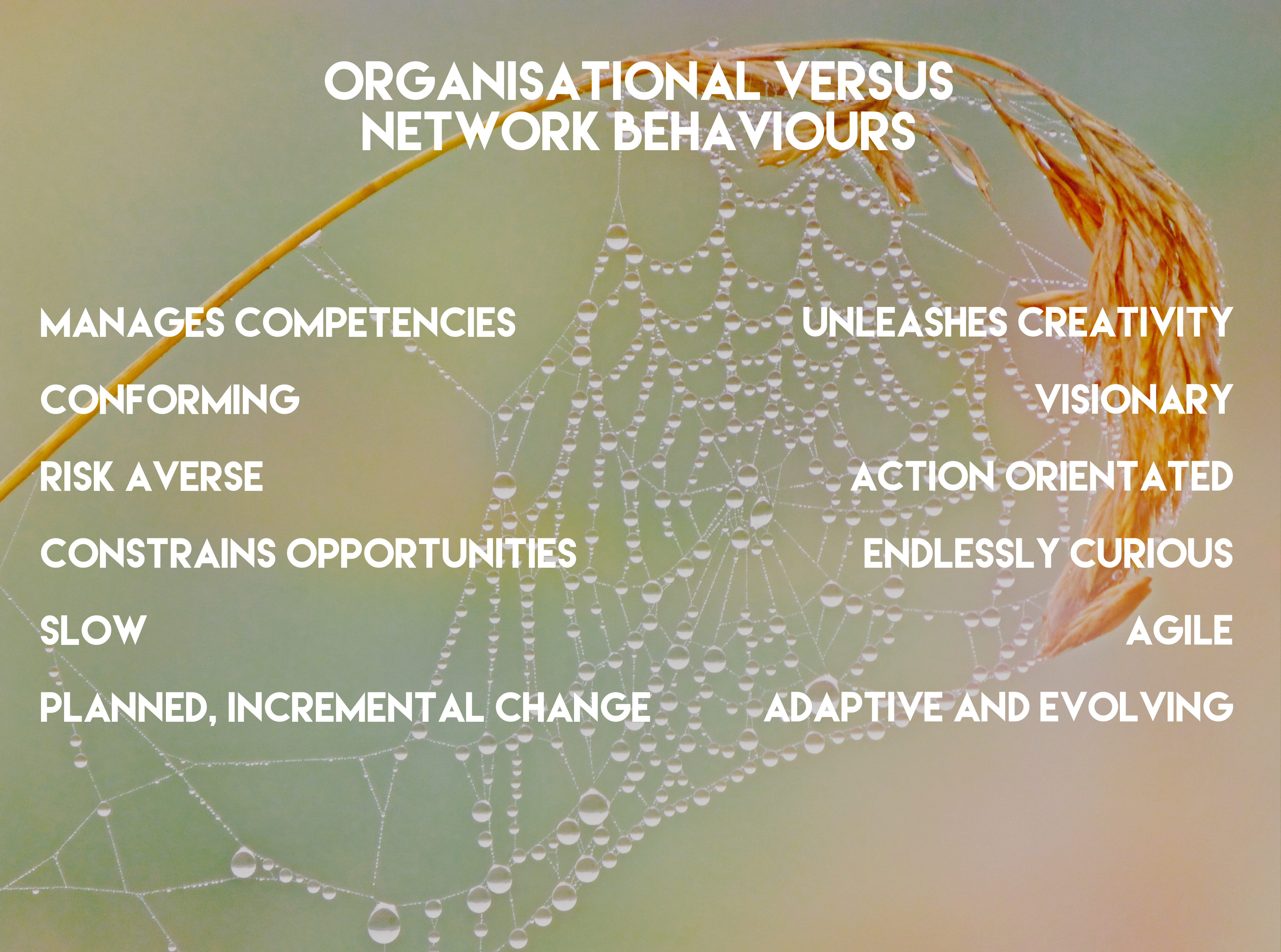 JPEG image-FD4AD2ECC734-1