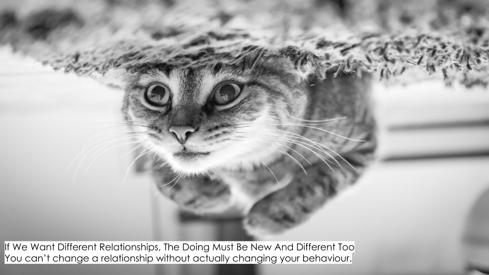 CHC Trust Presentation