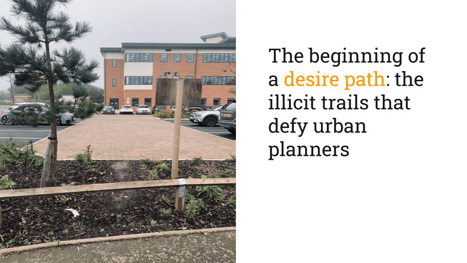 Back To Basics_ How Can We Simplify Our Business In Complex Times_ (4)