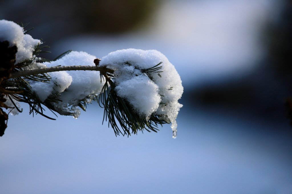 What I Got Wrong About Innovation and&nbsp;Design