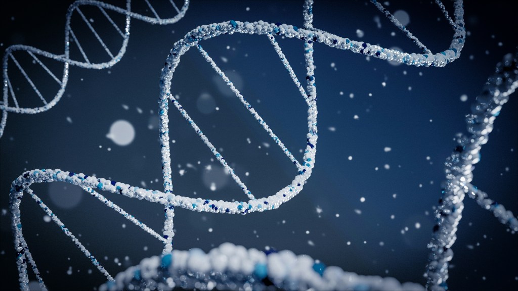 The Architecture of Permission: Rewiring the DNA of Public Service